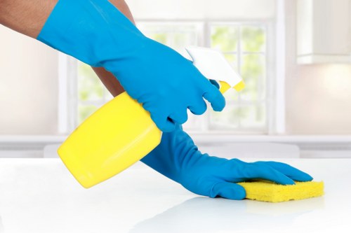 Professional mattress cleaning service for Tooting homes