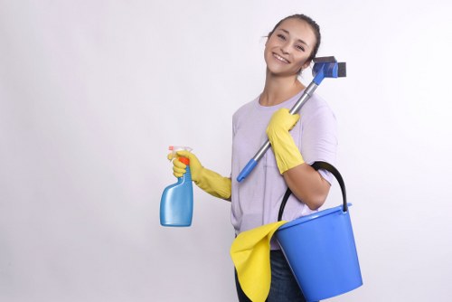 Professional window cleaning service for homes and businesses in Tooting