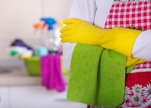 Local specialist cleaning for lingering pet smells in Tooting