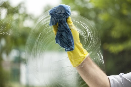 Upholstery and rug treatment for pet odours in Tooting