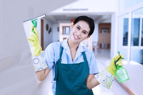 Professional gutter inspection and cleaning for Tooting buildings